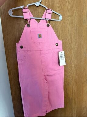 Carhartt Pink Bib Overalls